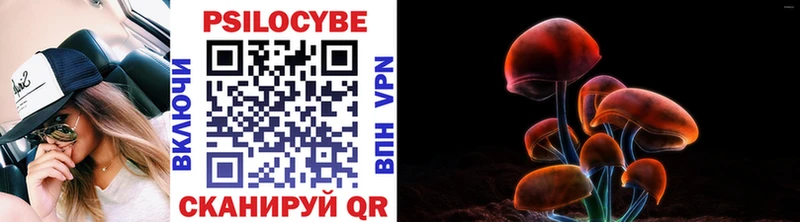 hydra ССЫЛКА  Советская Гавань  Псилоцибиновые грибы MAGIC MUSHROOMS  магазин продажи  